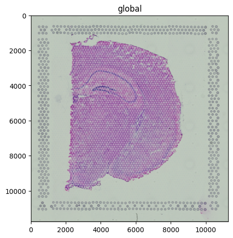 ../../_images/2ef44bc0897de9d7a66122b367c074dd4f1d26a95eea9472871daf81abcc59dc.png