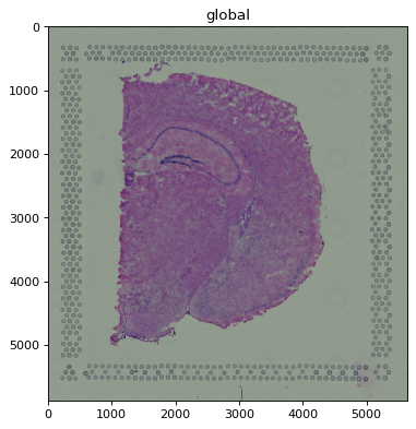 ../../_images/570cc9634e0bf08fe05e42f0aad7ddf32b791555a889ac07c8dc5b873d0d2fcc.png