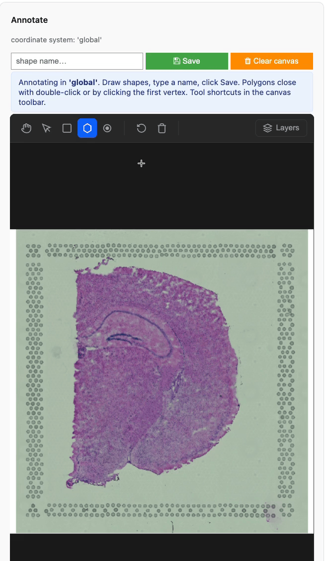 Drawing a region with sdata.pl.annotate