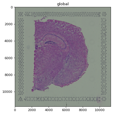 ../../_images/1c6a9e997abbe58bca718460590ddbd89b0b99aa030cf752bfd5bf7a8e12566f.png